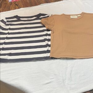Madewell Navy Striped and Tan Short Sleeve Tees